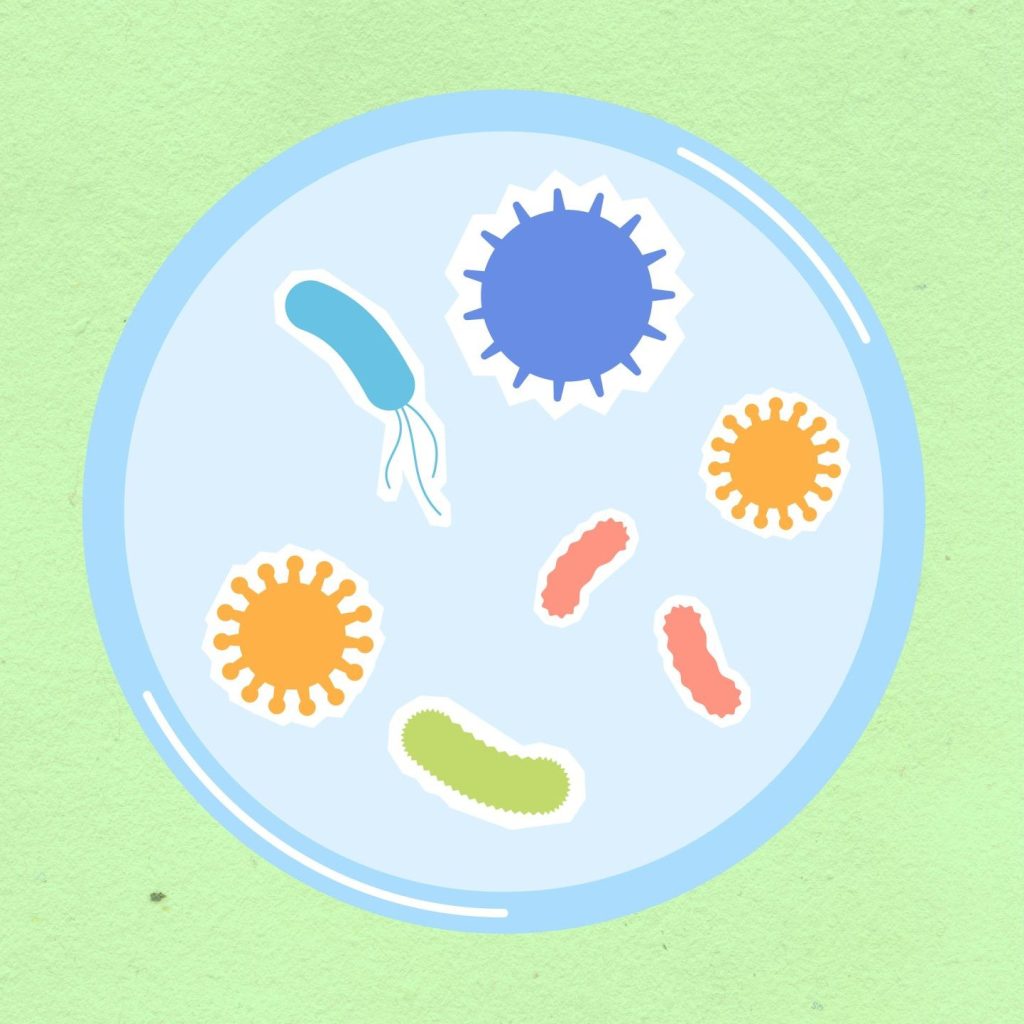Wat is legionella